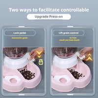 Automatic Pet Feeding & Drinking Fountain™